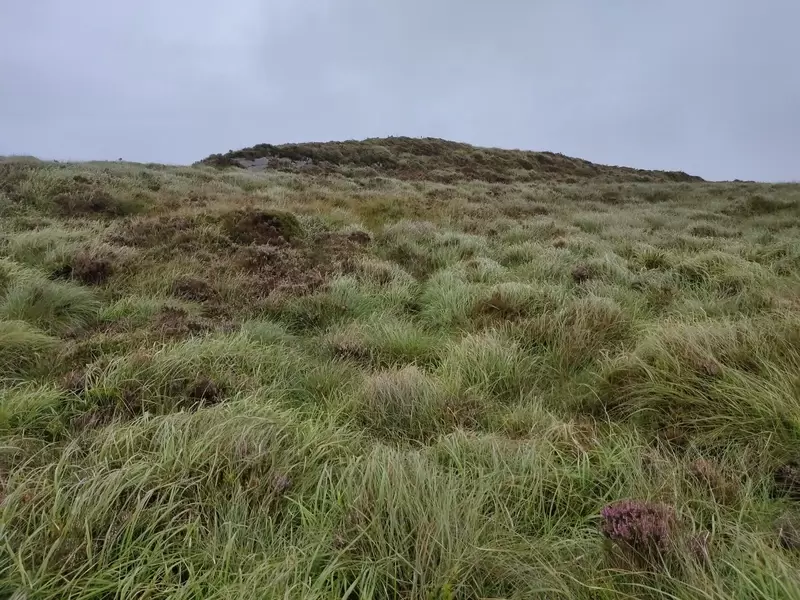 Grassy top of Coomagearlahy 