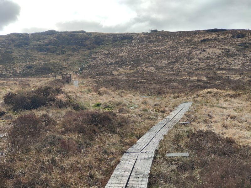 The boardwalk across the bog to get to Seefin Trig