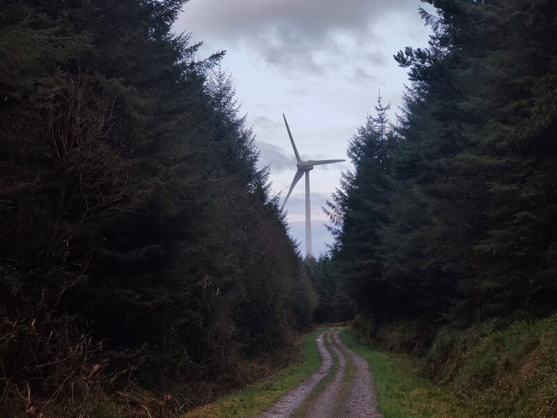 Wind turbine and forestry road leading to Slievereagh