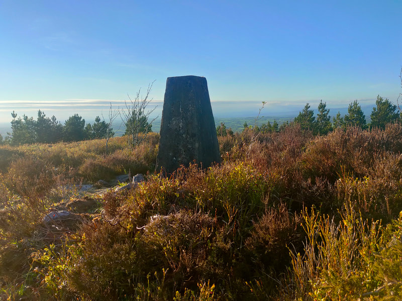 Trig Pillar of Slievenamuck surrounded by brown heather, a few trees visible in nearby forest and Blue Sky in the back ground. 