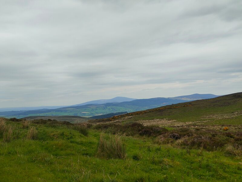 Slievenamon on the horizon on green lower slope of Knockshanahullion. 