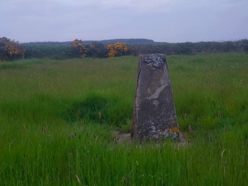 Clogrennan Hill Trig Pillar in green field