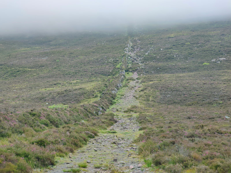 Mountain path beside what remains of a dry stone wall, now covered in heather