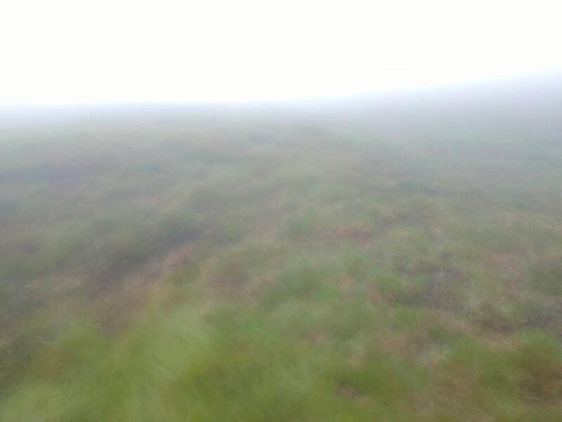 Grassy Knocknafallia West
in mist