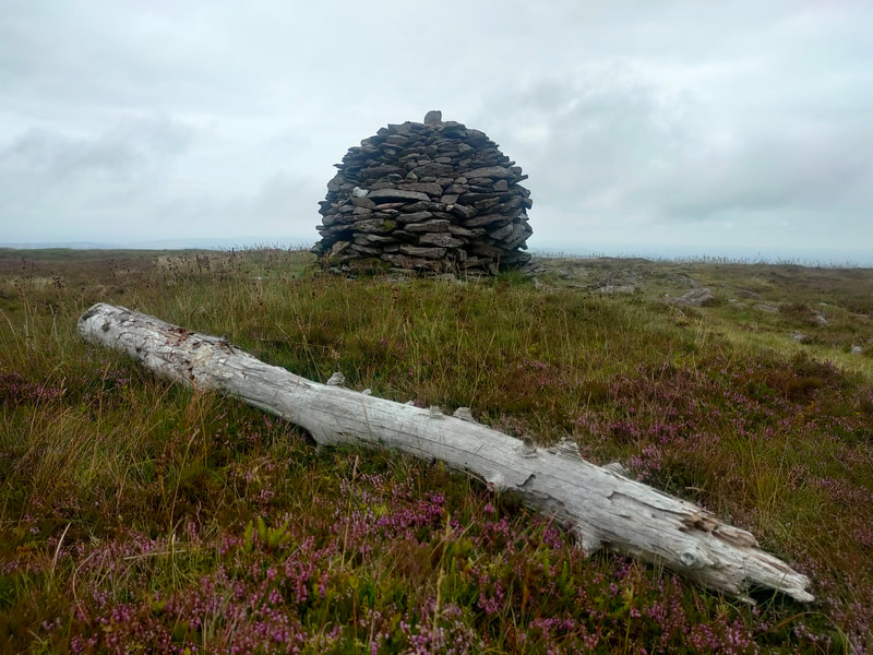 Mound of stones mark the top of Musheramore summit. White coloured weathered log on the ground close by.