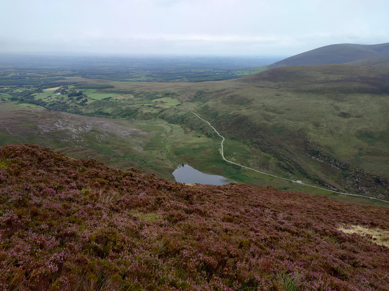Duhallow Way beside ShroneLake from the heather covered Paps Mountain