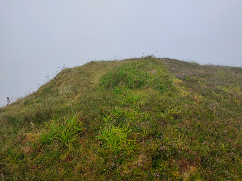 Grassy top of Finnararagh Mountain