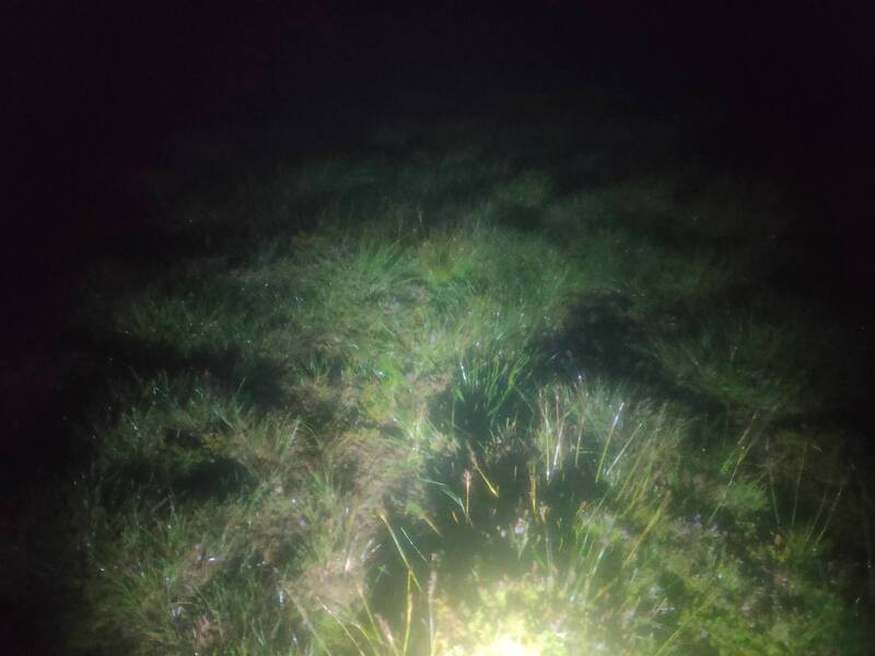 surface water on a grassy mountain top under torch light