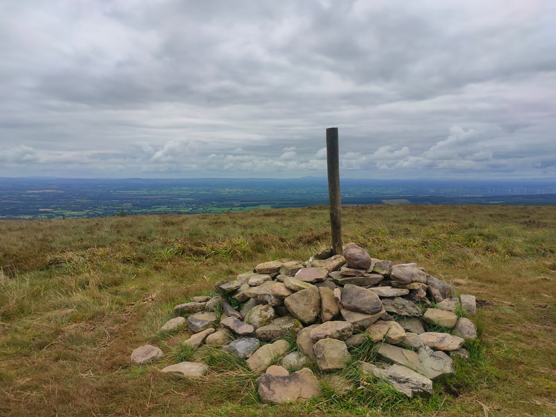 A pile of stones and a timber steak in its centre mark the high point of Arderin