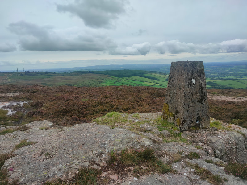 Trig Pillar on a stone base looking towards green fields and forestry