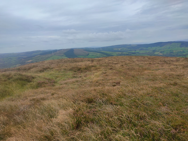 Grassy mountain top looking towards green fields and forestry