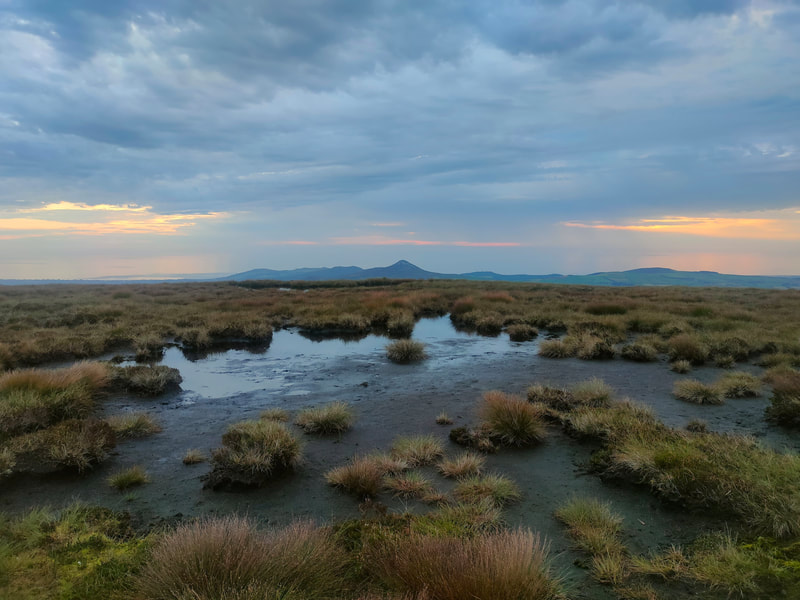 Boggy and wet mountain top looking towards Sugar Loaf and sunrise colours in the sky