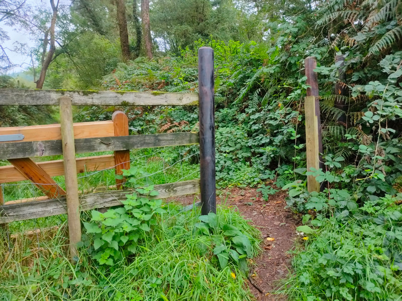Fence and dislocated gate on mountain path