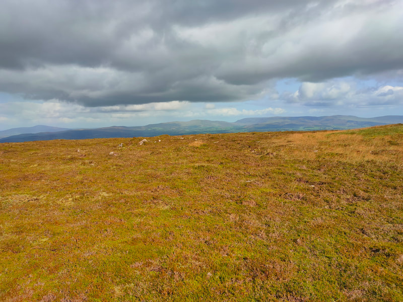 Slievenamon and Comeragh Mountains from a brown Knocknagnauv mountain