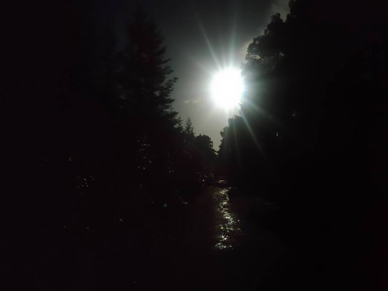 Full moon between an opening in trees shining on a wet trail